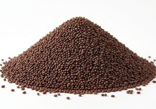 Asaliya Seeds