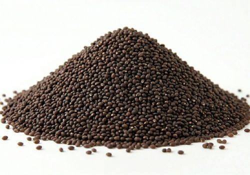 Basil seeds(Tulsi Beej)
