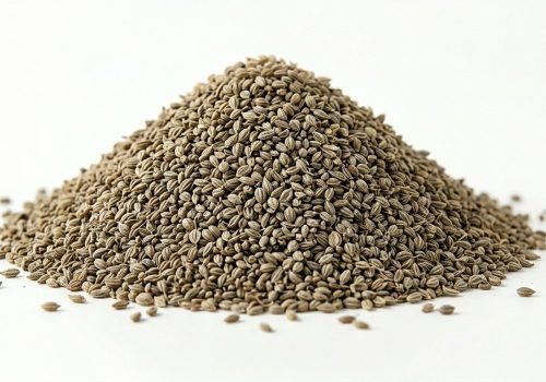 Ajwain Regular